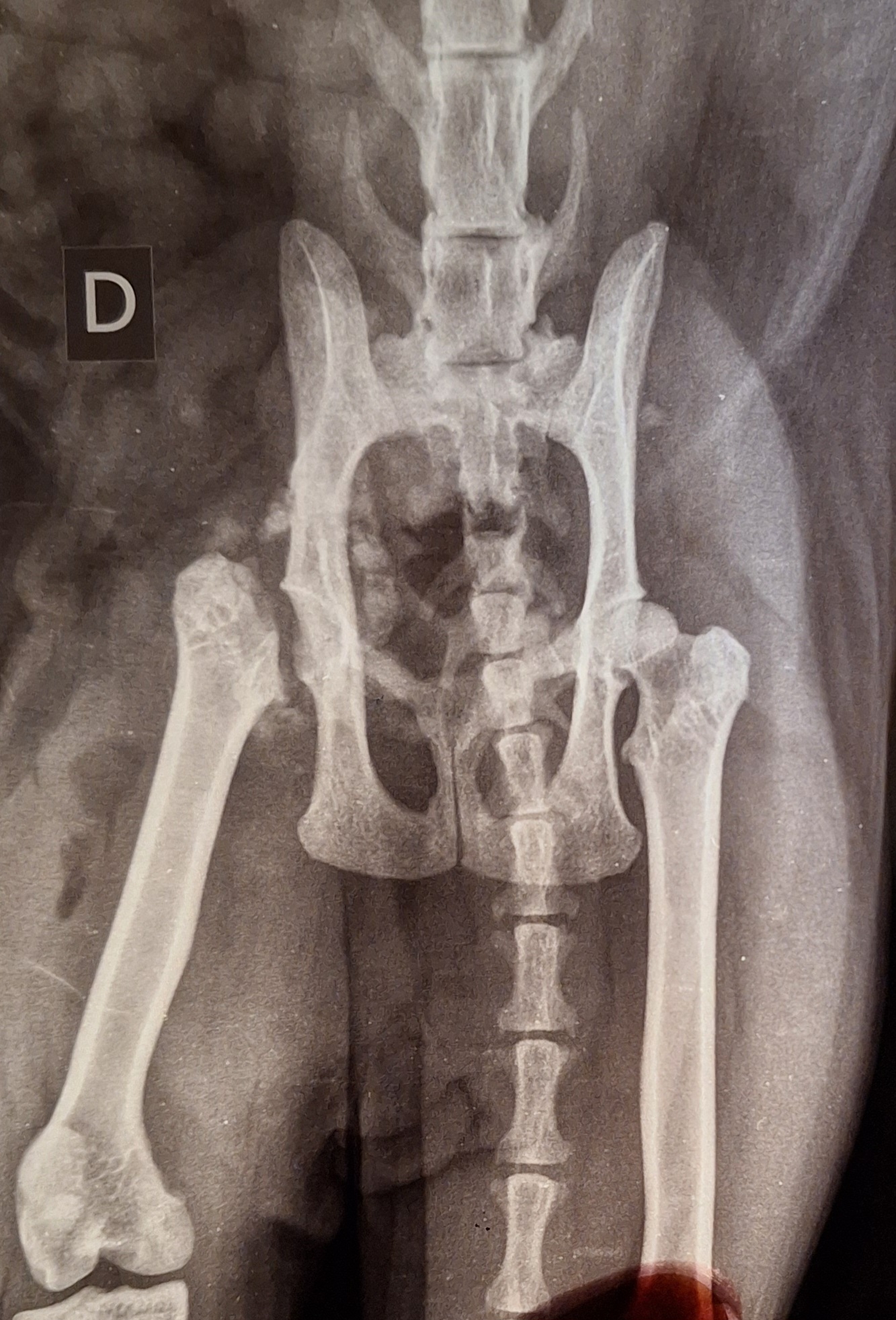 Photo n° 1 de l'avis de Logan.a fait le 24/11/2023 à 18:18