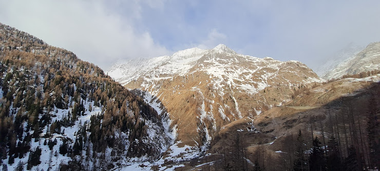 Les plus récentes Logement indépendant avec services Gasthof Schönau 39013 Moos in Passeier