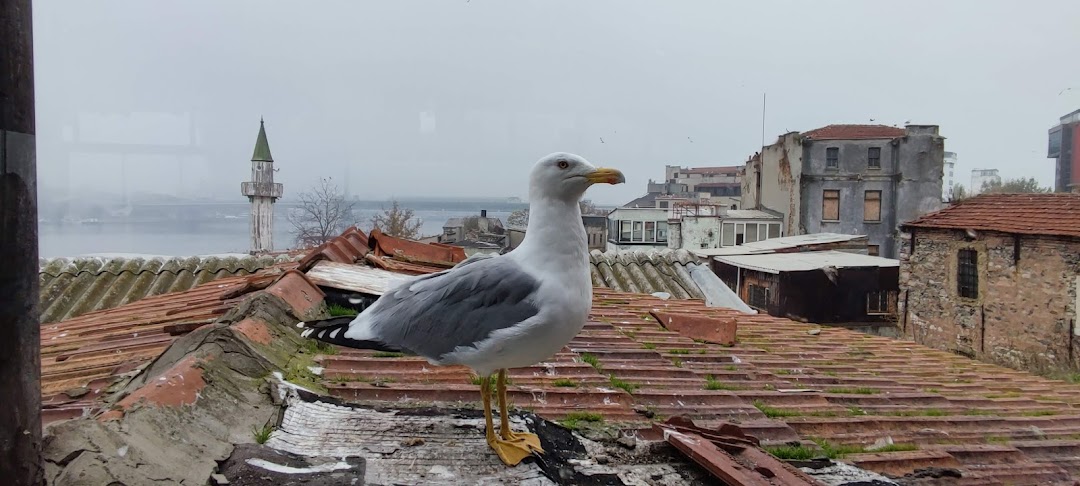 Fanus Suites Karaköy