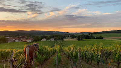 Domaine de L'Aubraine à Saint-Gengoux-de-Scissé