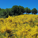 Photo n°5 de l'avis de Barbara.a fait le 30/06/2019 à 16:13 sur le  Da Giocondo à Pratomagno