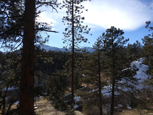 Crowe Gulch Picnic Area