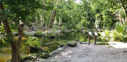 Park «Simpson Park», reviews and photos, 5 SW 17th Rd, Miami, FL 33129, USA