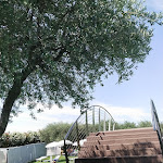 Photo n°3 de l'avis de Erica.a fait le 26/08/2023 à 17:25 sur le  Aquardens à Pescantina