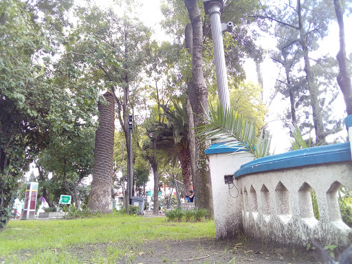 Fundación Amparo Park