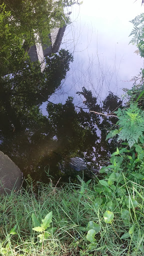 Performing Arts Theater «Little Theatre-Virginia Beach», reviews and photos, 550 Barberton Dr, Virginia Beach, VA 23451, USA