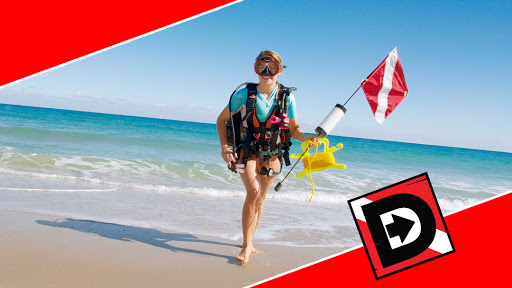 Dive Shop «Divers Direct», reviews and photos, 425 S Dixie Hwy, Coral Gables, FL 33146, USA