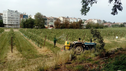 Pomar de macieiras