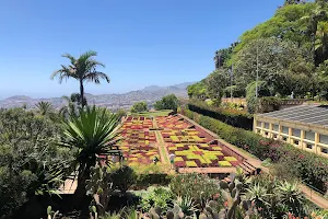 Jardin Botanique Funchal image