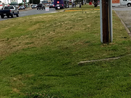 Shopping Mall «Circle Plaza Shopping Center», reviews and photos, 425-527 E Belt Blvd, Richmond, VA 23224, USA