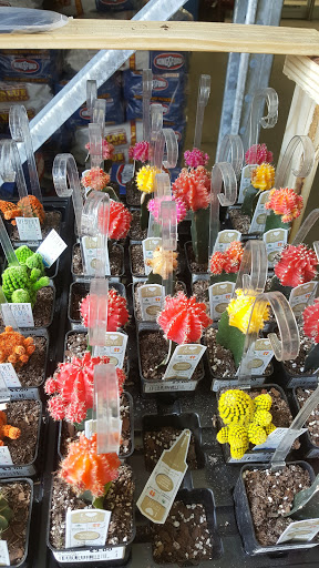 Department Store «Walmart Supercenter», reviews and photos, 7400 Guilford Dr, Frederick, MD 21704, USA