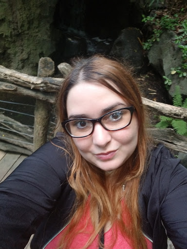 Park «Bronx zoo Park lot», reviews and photos, 2152 Crotona Pkwy, Bronx, NY 10460, USA