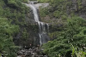 Bhivpuri Waterfalls image