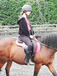 Palmers Riding Stables