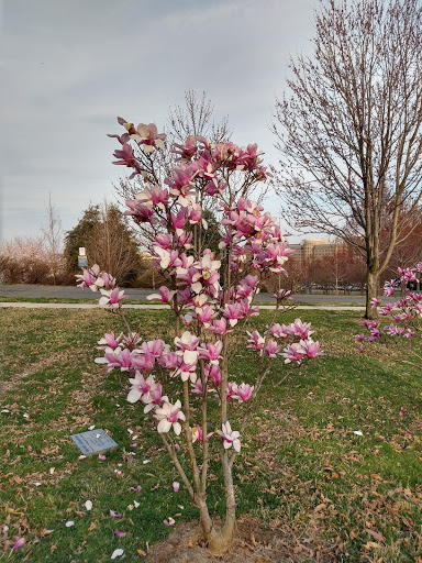 Museum «The George Washington Masonic National Memorial», reviews and photos, 101 Callahan Dr, Alexandria, VA 22301, USA