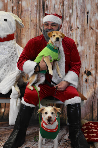 Pet Supply Store «Thomaston Feed of Cheshire», reviews and photos, 851 S Main St, Cheshire, CT 06410, USA