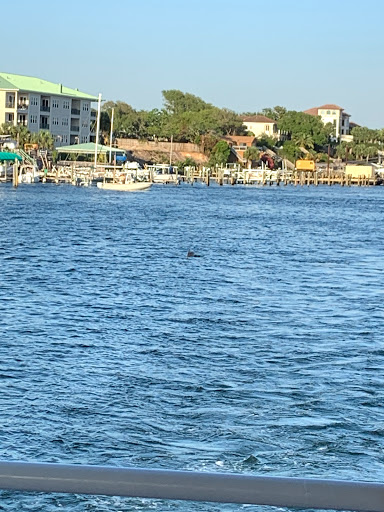 Sightseeing Tour Agency «Southern Star Dolphin Cruises», reviews and photos, 100 Harbor Blvd, Destin, FL 32541, USA