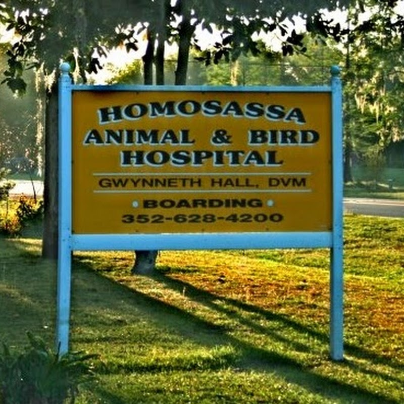 Homosassa Animal & Bird Hospital - Gwynneth Hall, D.V.M.