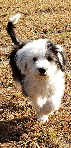 Insurance Agency «Pinnacle Insurance Agency of Minnesota», reviews and photos