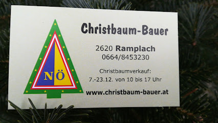 Christbaum - Bauer - Direktvermarktung von Christbäumen