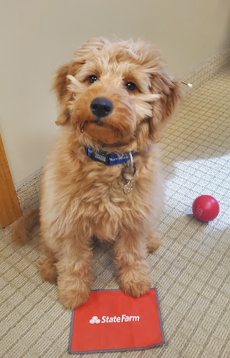 Auto Insurance Agency «Colin Charlson - State Farm Insurance Agent», reviews and photos