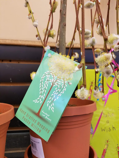 Grocery Store «D & W Fresh Market», reviews and photos, 2103 Parkview Ave, Kalamazoo, MI 49008, USA