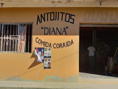 Antojitos Diana - Centro, 93140 Coyutla, Ver., Mexico