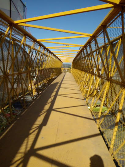 Puente amarillo Lencero