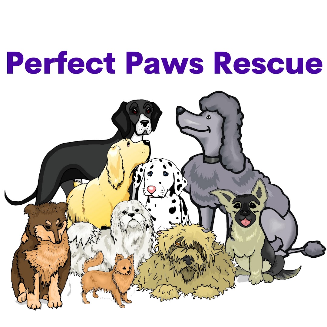 Perfect Paws Rescue