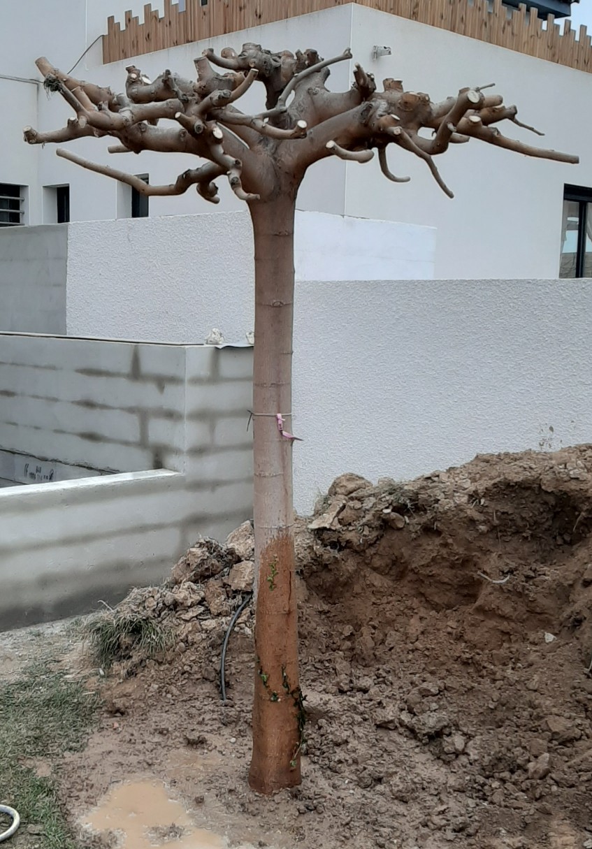 Photo n° 1 de l'avis de Frédéric. fait le 13/02/2020 à 06:52