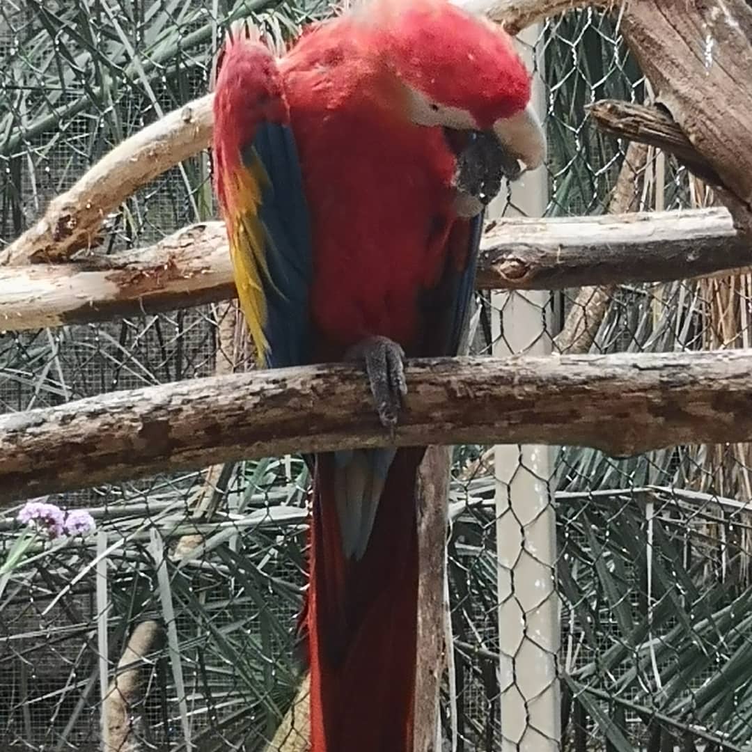 Photo n° 17 de l'avis de Xxx.x fait le 14/08/2020 à 21:01