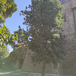 Photo n°6 de l'avis de Luca.u fait le 10/10/2021 à 14:15 sur le  Il Caro Commendatore à Montefiascone