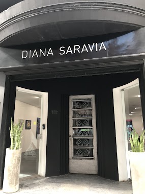 Diana Saravia Contemporary Art