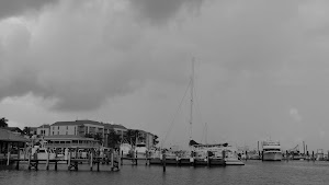 Key West Bight - photo 47