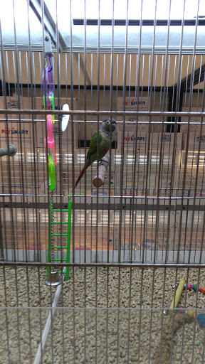 Pet Supply Store «PetSmart», reviews and photos, 11331 Causeway Blvd, Brandon, FL 33511, USA