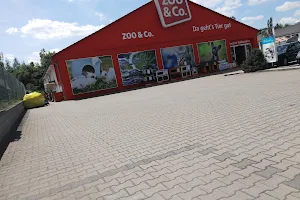 Zoo&Co Wiesner image