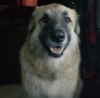 TagWorks - Photo 3 - Car repair in Houston, TX, Houston