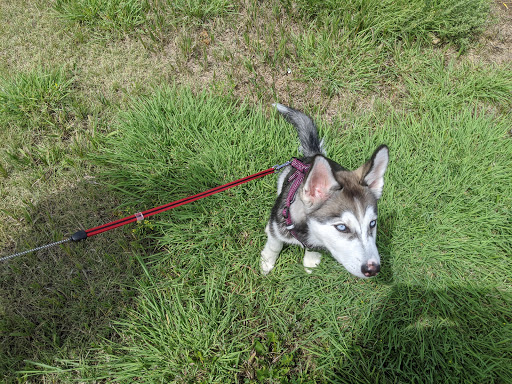 Park «Sandstone Park», reviews and photos, 4650 Pring Ranch Rd, Colorado Springs, CO 80922, USA