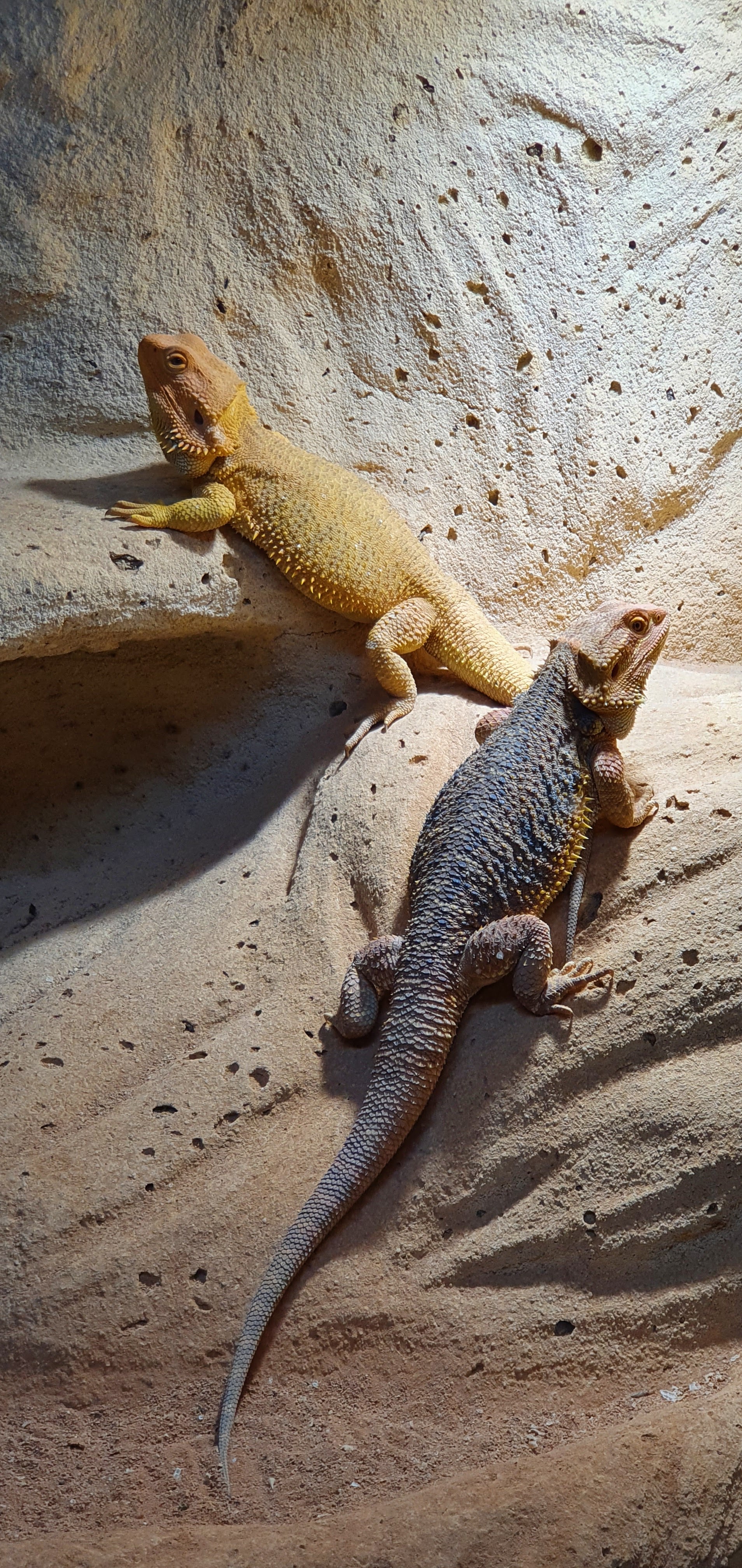 Photo n° 9 de l'avis de Laëtitia.E fait le 25/07/2020 à 00:11