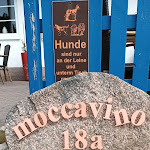 Photo n°2 de l'avis de Thomas.. fait le 17/04/2023 à 13:37 sur le  moccavino à Mönchgut