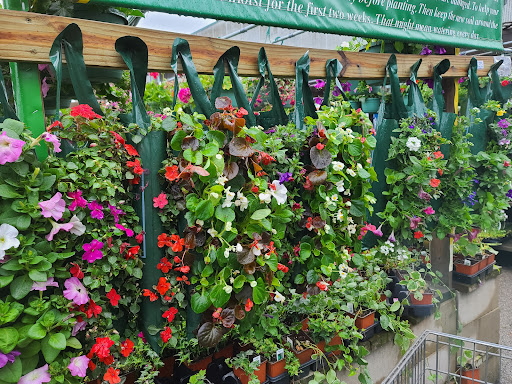 Home Improvement Store «Menards», reviews and photos, 3215 W North Ave, Melrose Park, IL 60160, USA