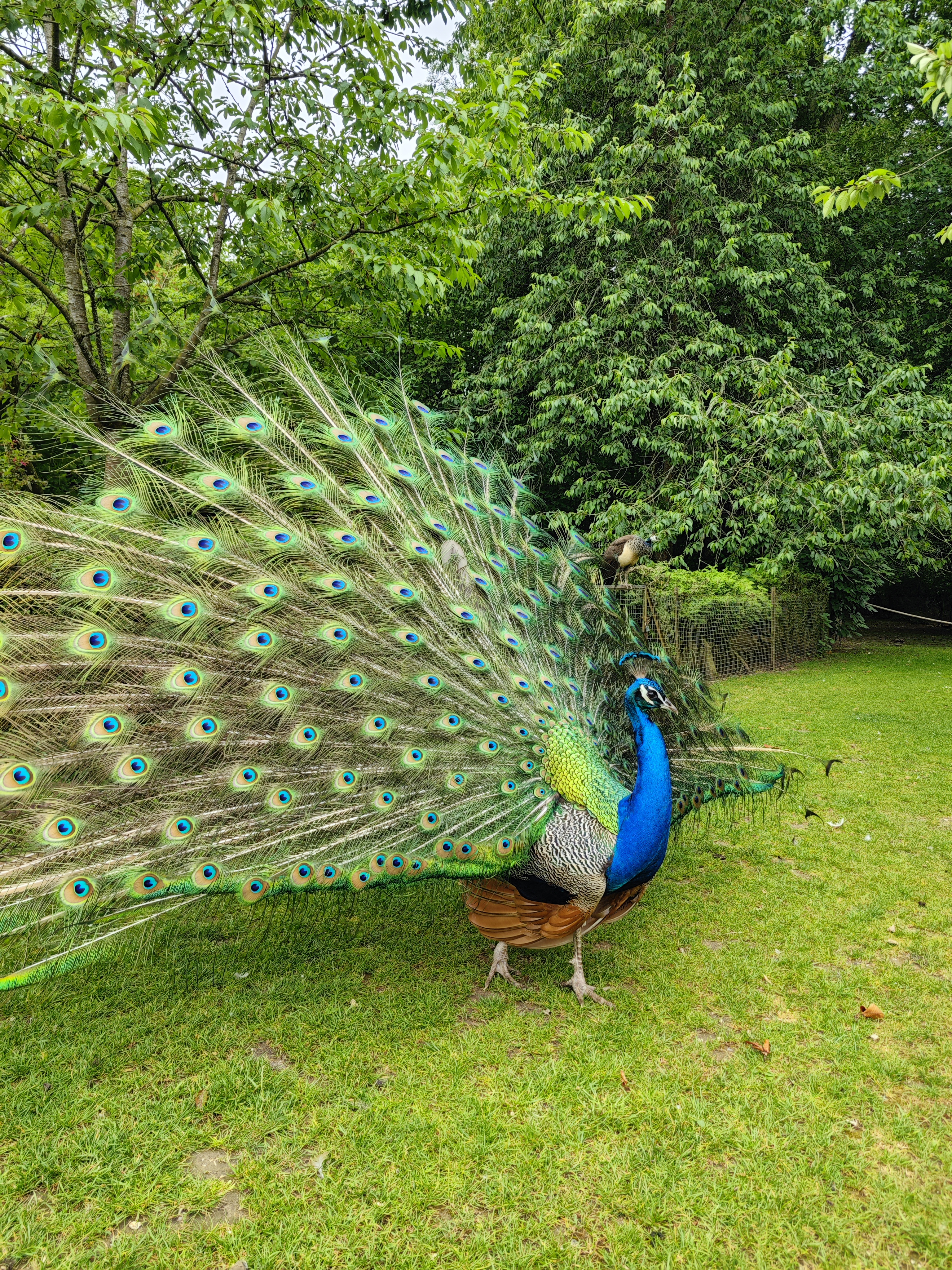 Photo n° 5 de l'avis de Maxime.i fait le 11/06/2023 à 16:19