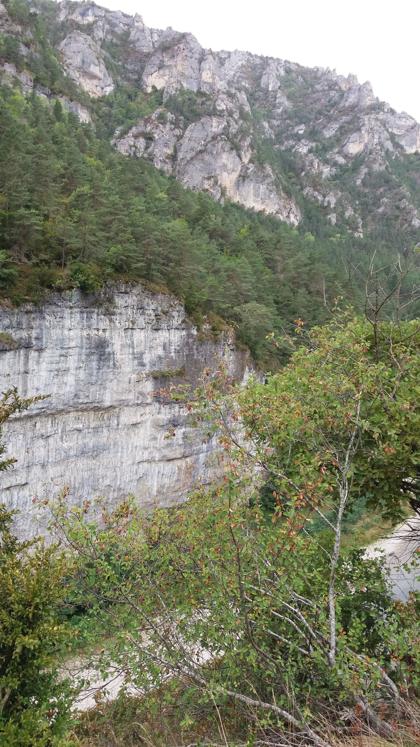 Photo n° 3 de l'avis de Nicolas.e fait le 11/09/2017 à 14:35