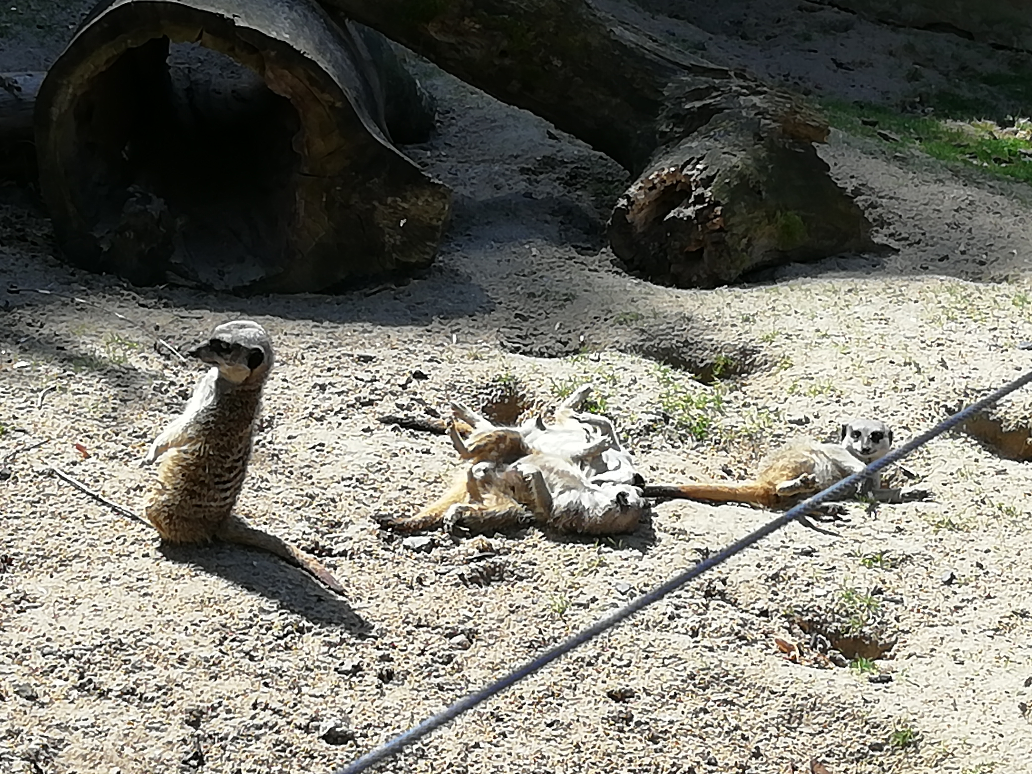 Photo n° 8 de l'avis de José.a fait le 22/08/2021 à 22:03