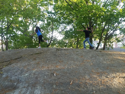 Park «Horatio Harris Park», reviews and photos, 85 Harold St, Boston, MA 02119, USA