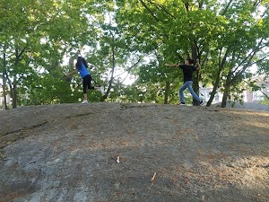 Horatio Harris Park - photo 15