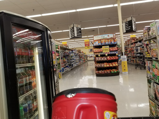 Grocery Store «Food Lion», reviews and photos, 1764 TN-48, Clarksville, TN 37040, USA