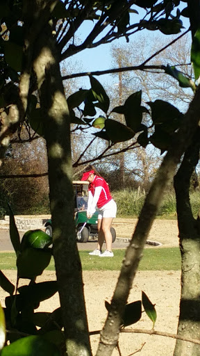 Golf Course «Hearthstone Country Club», reviews and photos, 7615 Ameswood Rd, Houston, TX 77095, USA