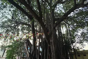 Tavarekere Banyan Tree Garden(ತಾವರಕೆರೆ ಆಲದ ಮರ) image