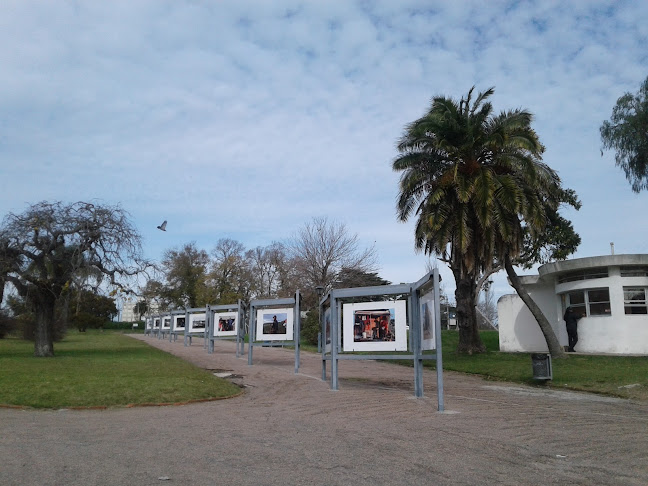 Fotogalería Prado